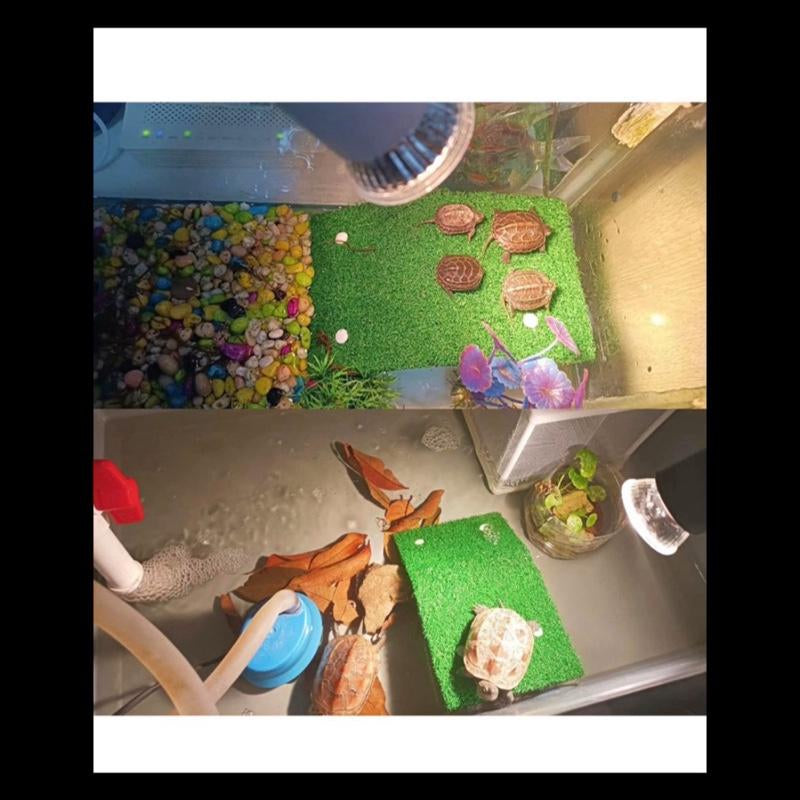 Small Turtle Basking Platform – Floating Ramp & Resting Dock for Aquatic Turtles, Reptiles, and Frogs