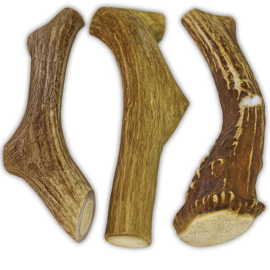 3 Pack - Large | Deer Antler Dog Chews