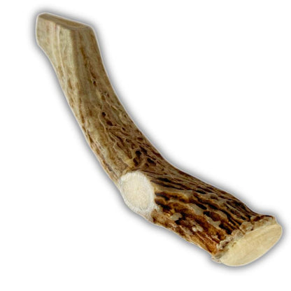 3 Pack - Large | Deer Antler Dog Chews