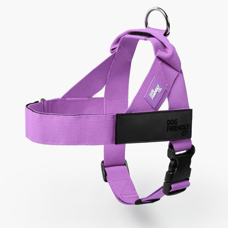 Dog Friendly Co. Harness - Easy to Fit No-Pull Design - Safe Secure and Comfortable - Ideal for Dogs of All Shapes and Sizes Leash