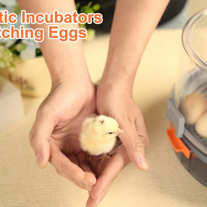 Chicken Egg Incubator 12-40 Eggs Automatic 760° Egg Turner with Digital Display Auto Temperature Humidity Control for Hatching Chicken Duck Quail Eggs High Hatch Rate Poultry Incubator - Hatchery