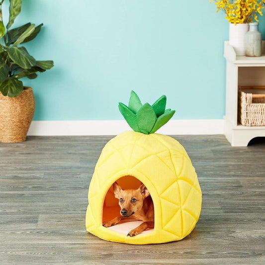 Pretty Pineapple Cat & Dog Pet Bed House