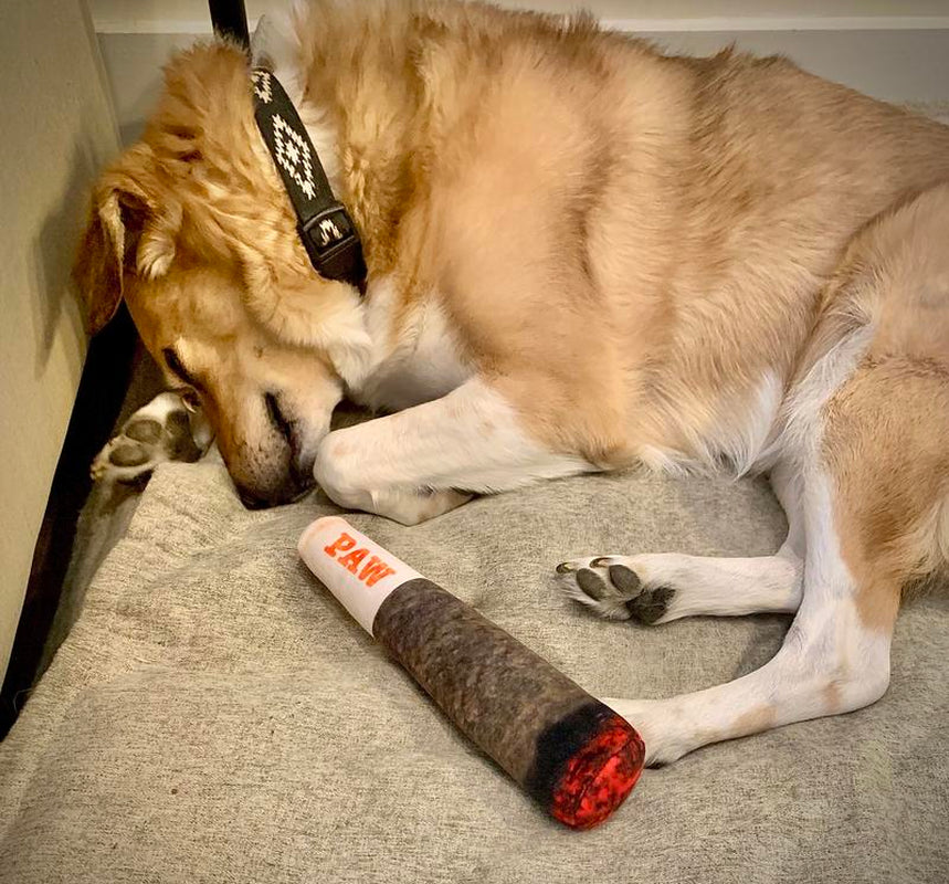 Doggy Doobie Funny Dog Toy - Plush Squeaky Crinkle Toy for Medium, Small, and Large Dogs - Cute Gift for Dog Birthdays