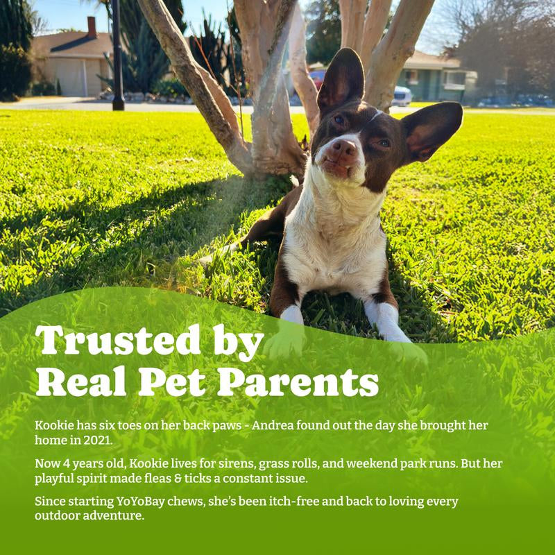 Flea and Tick Support Chews for Dogs, Yoyobay Natural Dog Fleas and Ticks Support Soft Treats, Natural Shield 5-In-1 Protection, Beef & Carrot Flavor, Duck & Pear Flavor, 70 Soft Chews