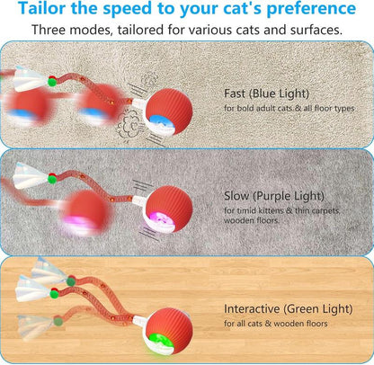 Golipal Cat&Dog Toy - Interactive USB Rechargeable Ball Toy on Rug with Bird Chirping, Anti-Depression Fun Gift for Cats & Dogs