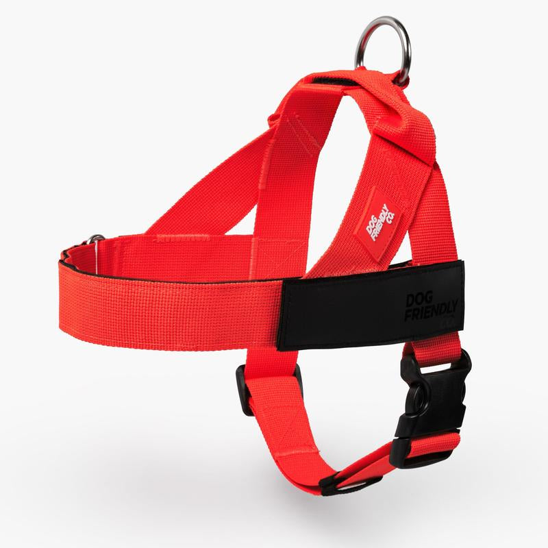 Dog Friendly Co. Harness - Easy to Fit No-Pull Design - Safe Secure and Comfortable - Ideal for Dogs of All Shapes and Sizes Leash