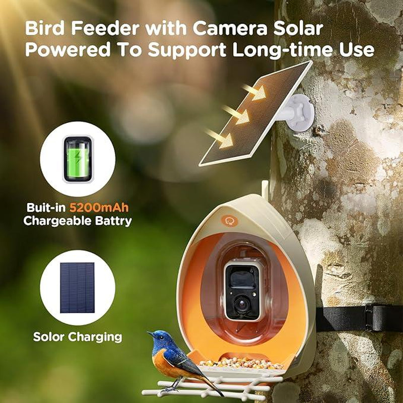 Peckperk Smart Bird Feeder with Camera, Solar Powered, Squirrel-Proof, 1080P Full-Color Night Vision Camera, Ideal Gift for Bird Lovers