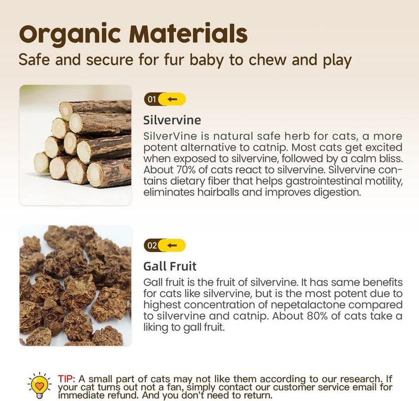 Premium Cat Chew Stick Toy, Natural Silvervine Sticks Cat Toys, Catnip Alternative Cat Chew Toys Teeth Cleaning, Matatabi Cat Treat, Edible Kitty Toys
