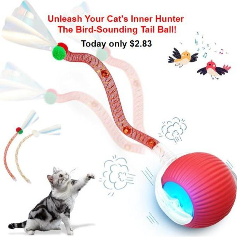 Golipal Cat&Dog Toy - Interactive USB Rechargeable Ball Toy on Rug with Bird Chirping, Anti-Depression Fun Gift for Cats & Dogs