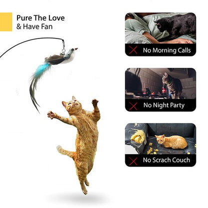 10 Set Cat Feather , Self Play Hanging Toy, Wand Toy, Interactive Bird for Cat Dancer, Suction Cup , Sticky, Rope and Wooden