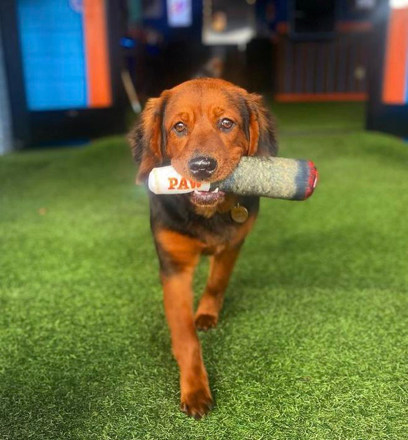 Doggy Doobie Funny Dog Toy - Plush Squeaky Crinkle Toy for Medium, Small, and Large Dogs - Cute Gift for Dog Birthdays