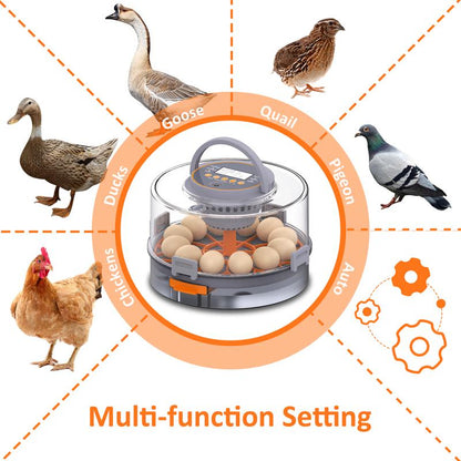 Chicken Egg Incubator 12-40 Eggs Automatic 760° Egg Turner with Digital Display Auto Temperature Humidity Control for Hatching Chicken Duck Quail Eggs High Hatch Rate Poultry Incubator - Hatchery