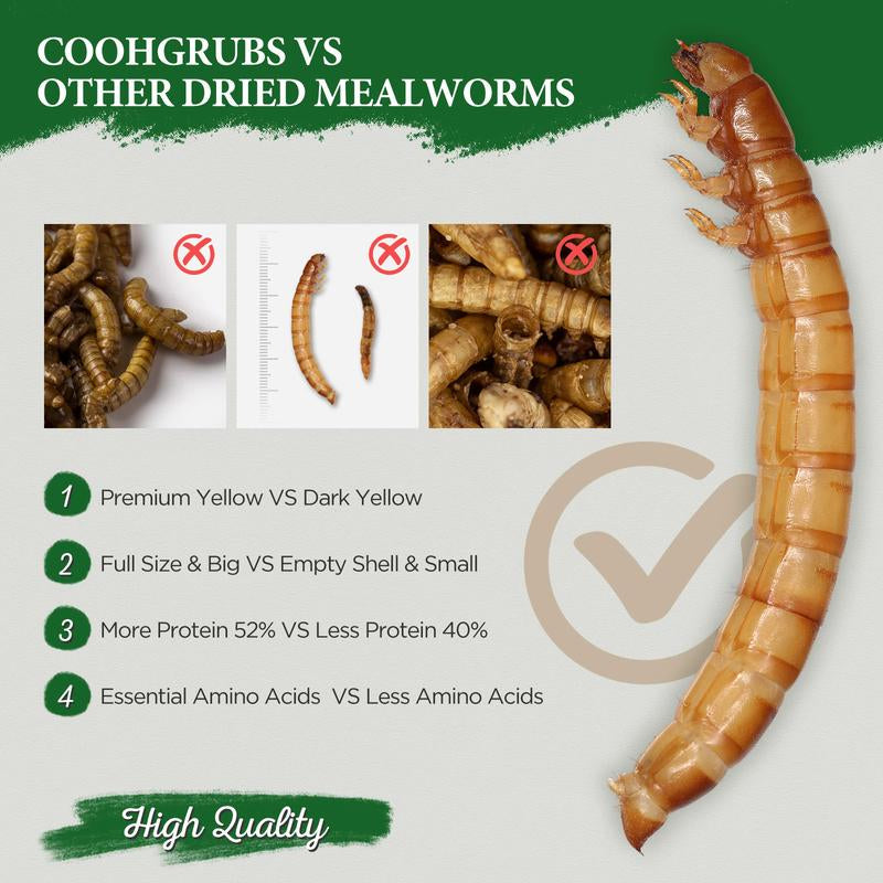 COOHGRUBS Dried Mealworms for Chickens - 100% Natural Premium Protein, Original Meal Worms Larvae for Laying Hen, Tasty Treats for Wild Birds Speeds up the Molting Process Pamper Your Feathered Friends