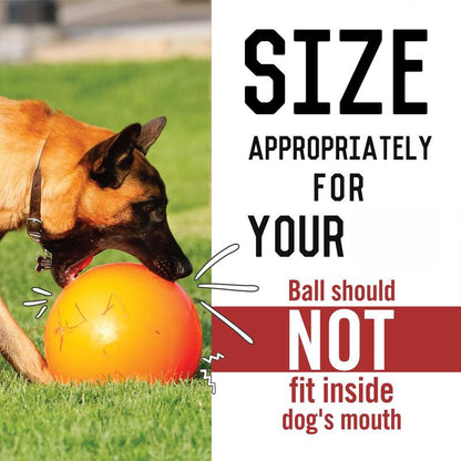 Virtually Indestructible Ball for Dogs 10-Inch