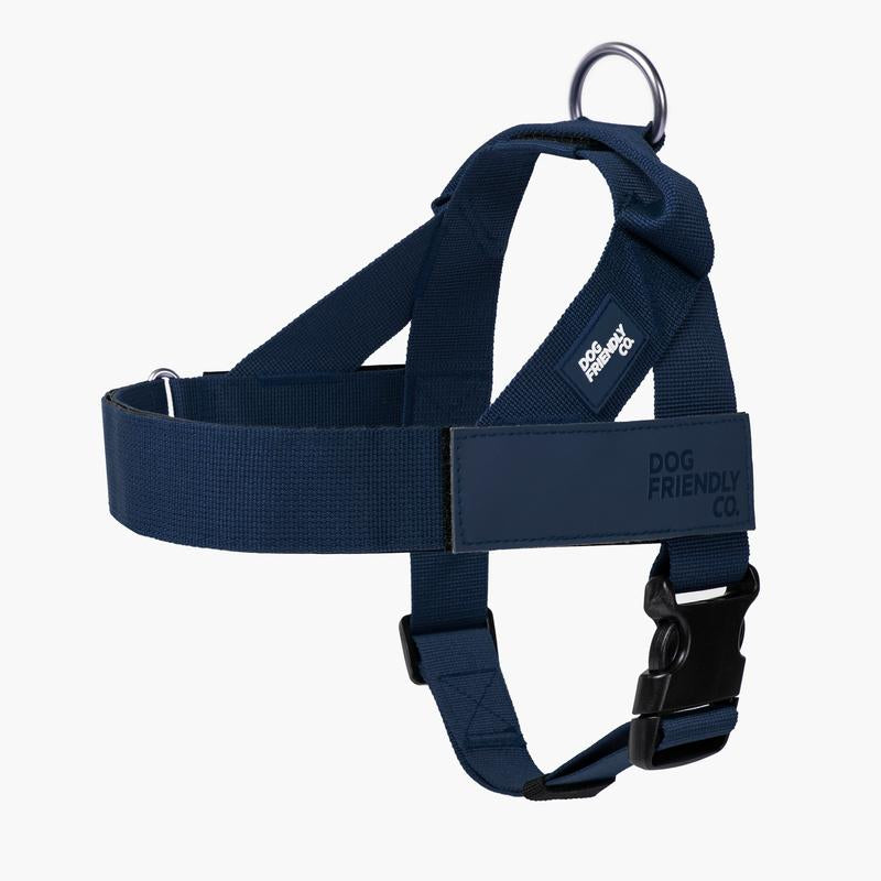 Dog Friendly Co. Harness - Easy to Fit No-Pull Design - Safe Secure and Comfortable - Ideal for Dogs of All Shapes and Sizes Leash