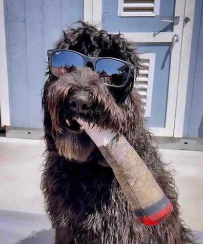 Doggy Doobie Funny Dog Toy - Plush Squeaky Crinkle Toy for Medium, Small, and Large Dogs - Cute Gift for Dog Birthdays