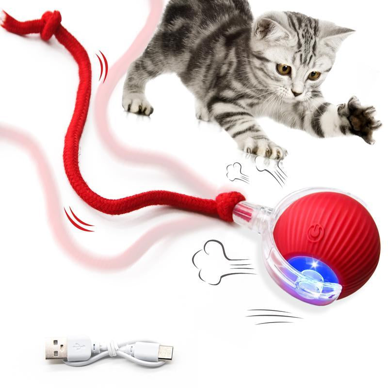 Golipal Cat&Dog Toy - Interactive USB Rechargeable Ball Toy on Rug with Bird Chirping, Anti-Depression Fun Gift for Cats & Dogs