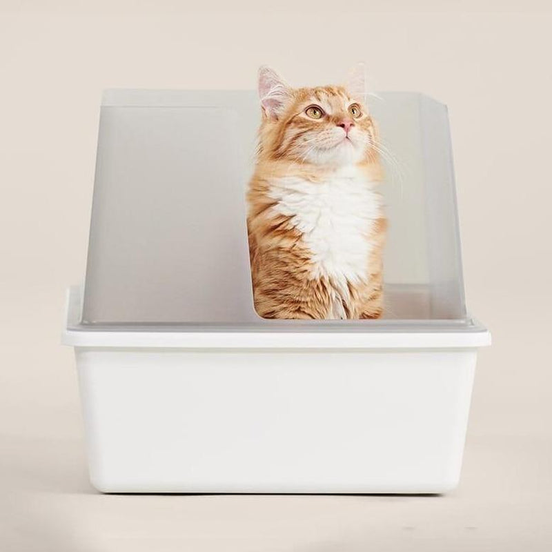 Cubby Litter Box - High Sided Cat Litter Box, Open Top, High Quality, Nonstick, Odor Resistant, Anti-Urine Leakage, Scatter Control
