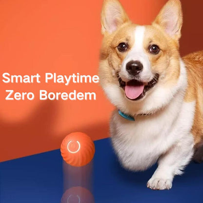 Sea Urchin Smart Pet Bouncing Ball for Dogs