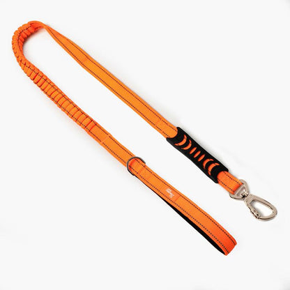Dog Friendly Co. Bungee Dog Leash – Shock Absorbing, Reflective & Heavy Duty with Traffic Handle & Padded Grip Dog Leash