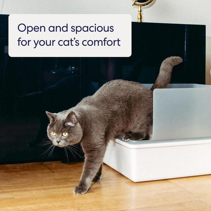 Cubby Litter Box - High Sided Cat Litter Box, Open Top, High Quality, Nonstick, Odor Resistant, Anti-Urine Leakage, Scatter Control