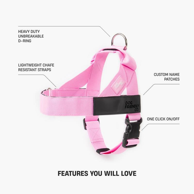 Dog Friendly Co. Harness - Easy to Fit No-Pull Design - Safe Secure and Comfortable - Ideal for Dogs of All Shapes and Sizes Leash