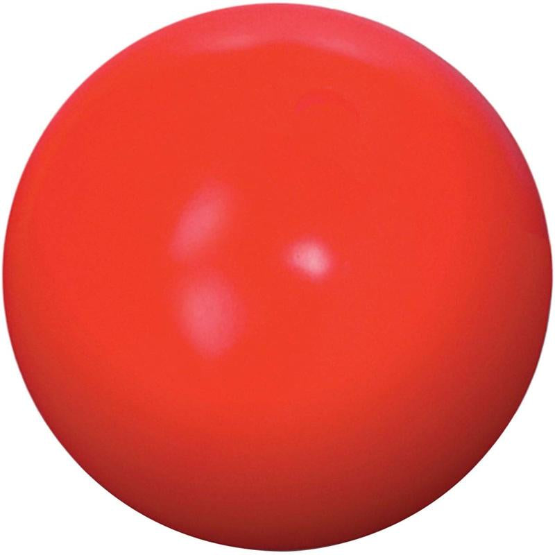 Virtually Indestructible Ball for Dogs 10-Inch
