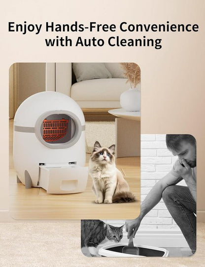 【Pettok】Self Cleaning Cat Litter Box, Automatic Cat Litter Box with Extra Large 60+15L Capacity for Multiple Cats, APP Control Electric Litter Boxes Self Cleaning Includes Trash Bags