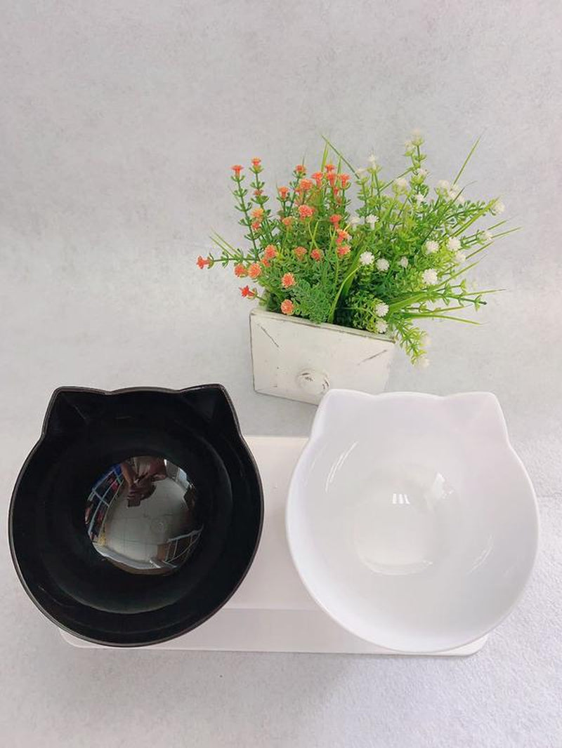 Elevated Cat Double Bowl Food Bowl for Pets