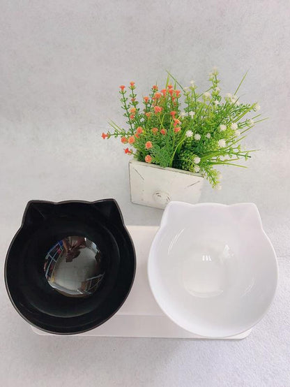 Elevated Cat Double Bowl Food Bowl for Pets