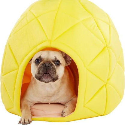 Pretty Pineapple Cat & Dog Pet Bed House