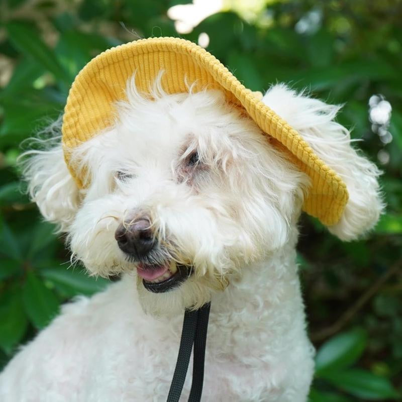 Cute Corduroy Pet Hat with Ear Holes, Outdoor Sun Protection Pet Hat, Pet Supplies for Small Medium Large Dogs & Cats