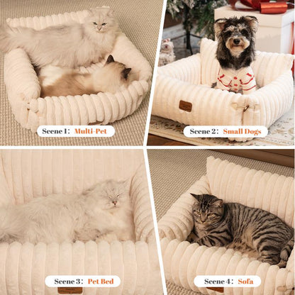 Pet Couch Bed, Orthopedic Fluffy Sofa for Cat and Small Dog, Recliner with Removable Washable Cover, Cute Calming Pet Lounge Suitable for Puppy Kitten for Indoor (Off-White)