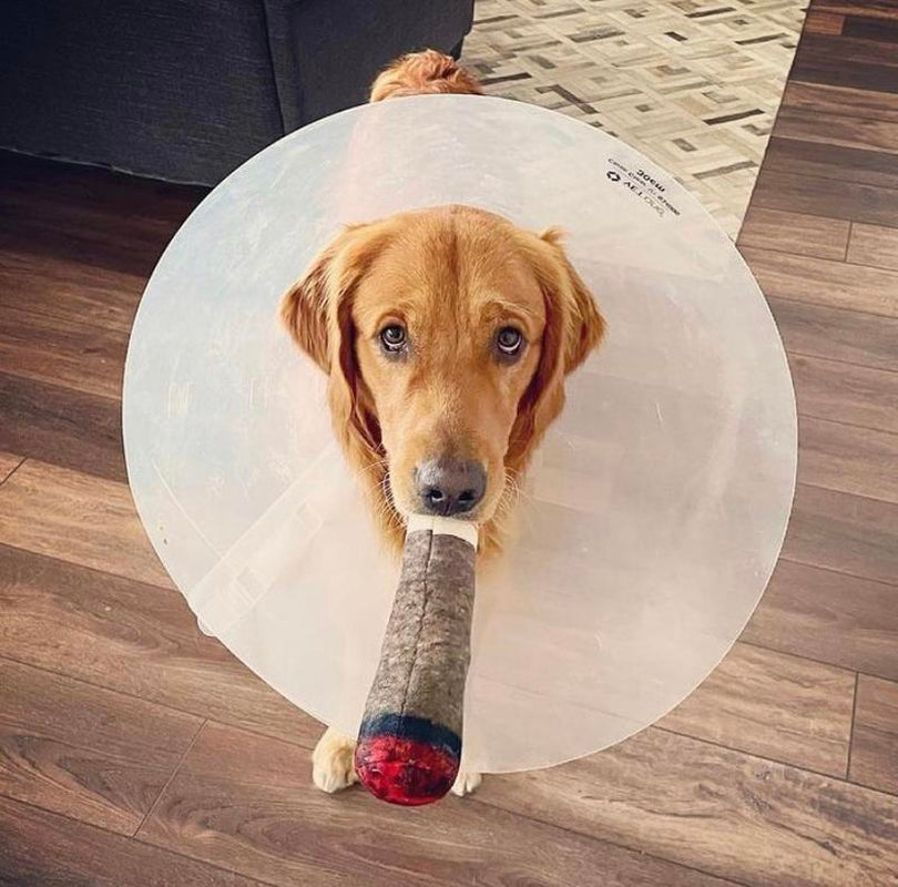 Doggy Doobie Funny Dog Toy - Plush Squeaky Crinkle Toy for Medium, Small, and Large Dogs - Cute Gift for Dog Birthdays