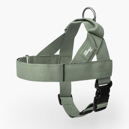 Dog Friendly Co. Harness - Easy to Fit No-Pull Design - Safe Secure and Comfortable - Ideal for Dogs of All Shapes and Sizes Leash