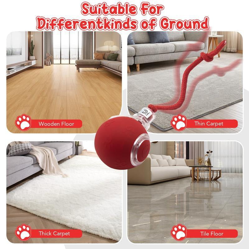 Golipal Cat&Dog Toy - Interactive USB Rechargeable Ball Toy on Rug with Bird Chirping, Anti-Depression Fun Gift for Cats & Dogs