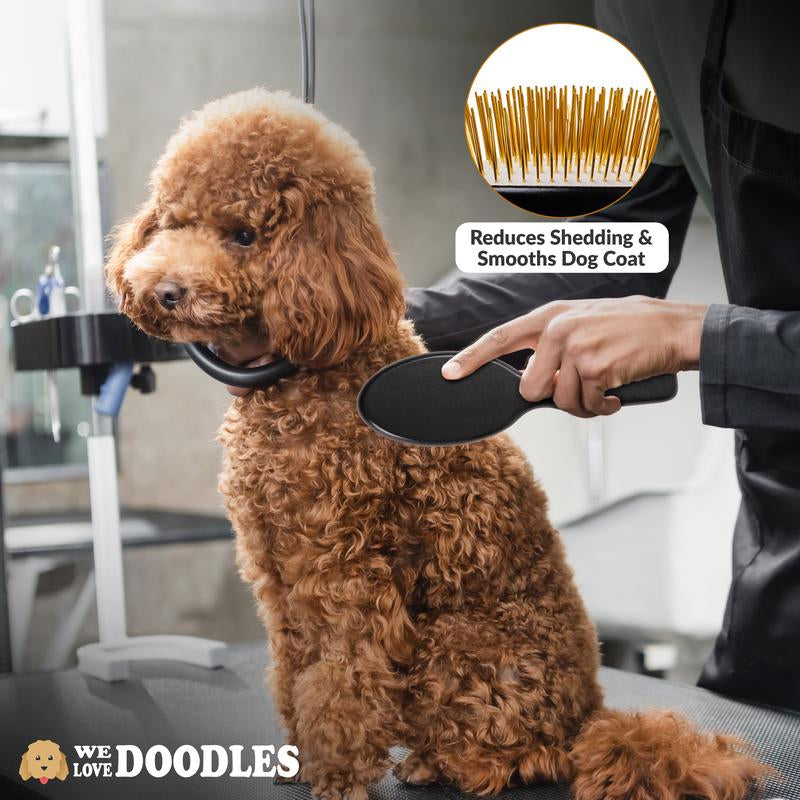 Pin Brush for Dogs - Dog Brush for Shedding and Removing Loose Fur, Lightweight Beech Wood with Gold Plated Pins for Long Hair Pets