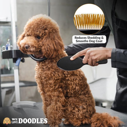 Pin Brush for Dogs - Dog Brush for Shedding and Removing Loose Fur, Lightweight Beech Wood with Gold Plated Pins for Long Hair Pets