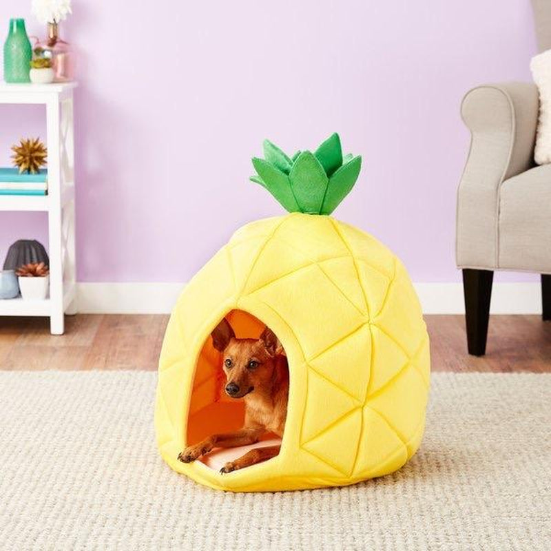 Pretty Pineapple Cat & Dog Pet Bed House