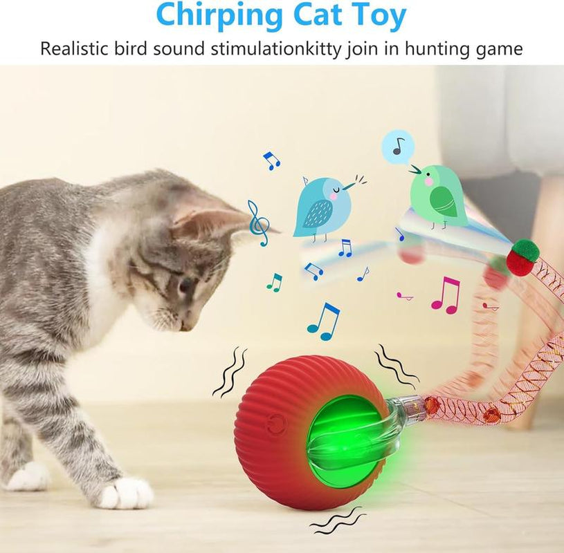 Golipal Cat&Dog Toy - Interactive USB Rechargeable Ball Toy on Rug with Bird Chirping, Anti-Depression Fun Gift for Cats & Dogs