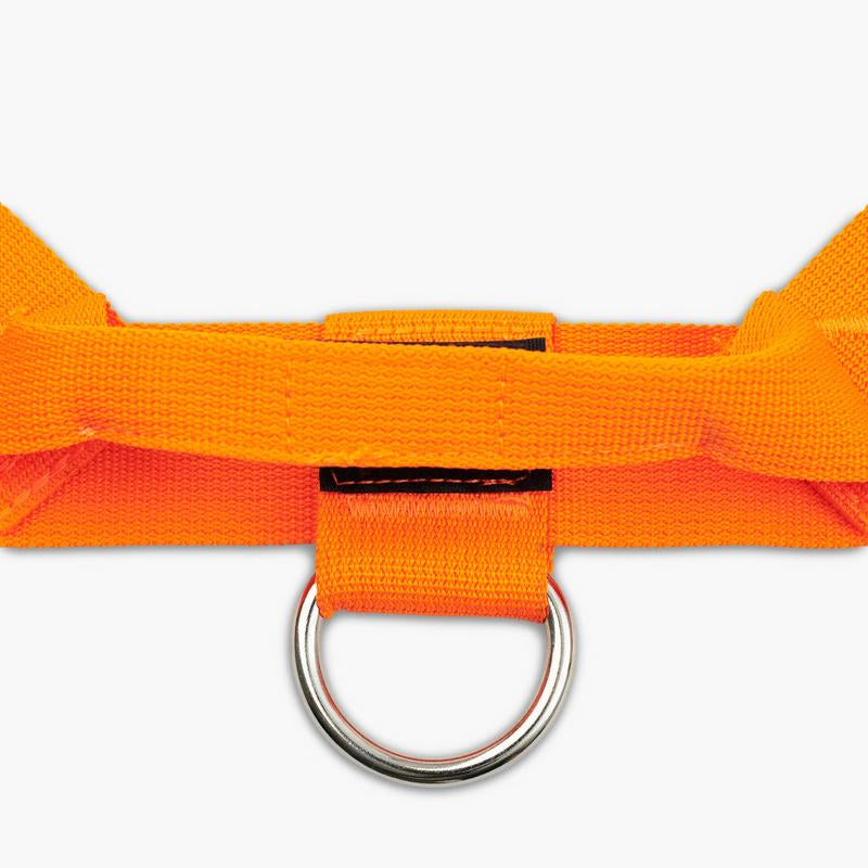 Dog Friendly Co. Harness - Easy to Fit No-Pull Design - Safe Secure and Comfortable - Ideal for Dogs of All Shapes and Sizes Leash