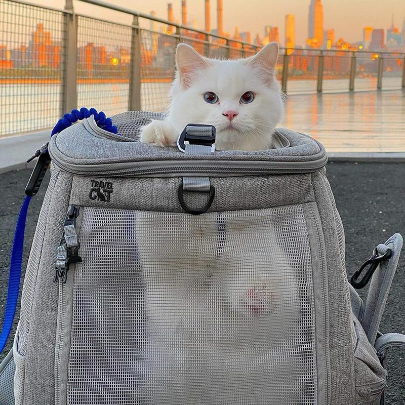 "The Navigator" Convertible Cat Backpack - for Adventurous Cats and Humans
