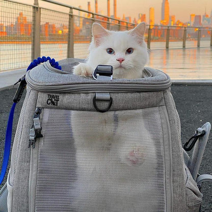 "The Navigator" Convertible Cat Backpack - for Adventurous Cats and Humans