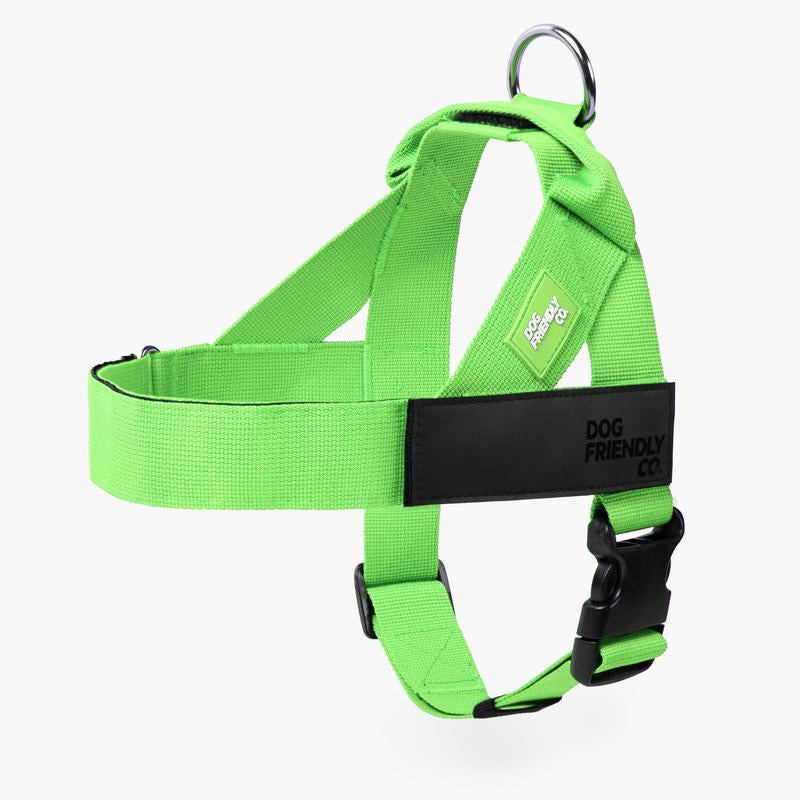 Dog Friendly Co. Harness - Easy to Fit No-Pull Design - Safe Secure and Comfortable - Ideal for Dogs of All Shapes and Sizes Leash