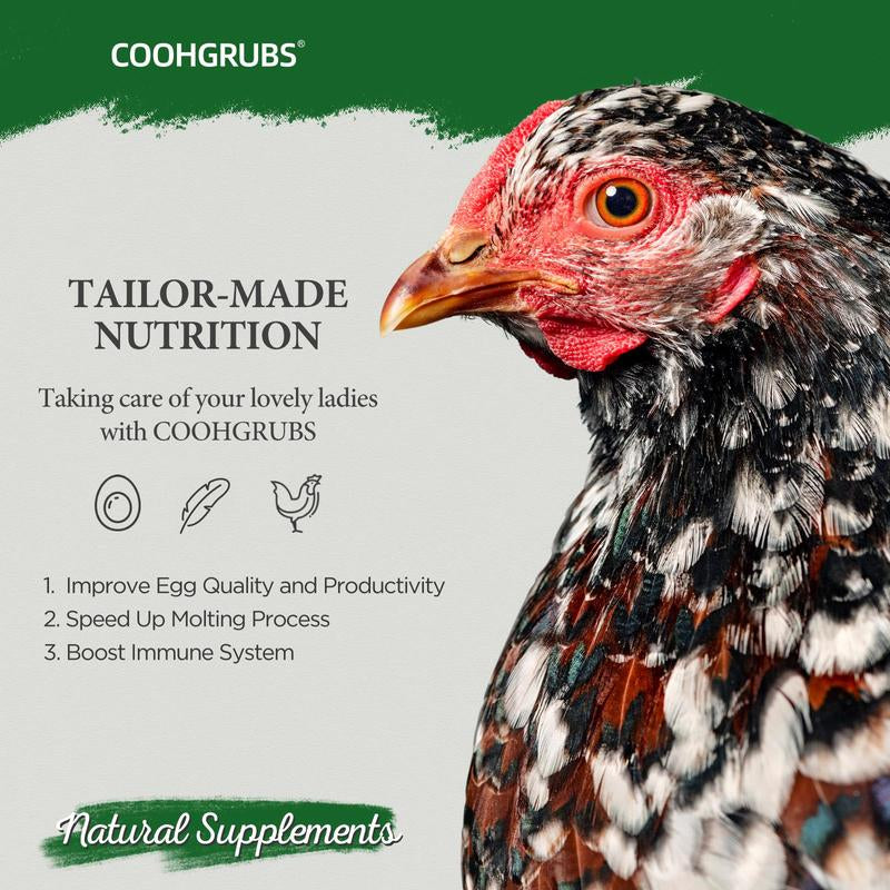 COOHGRUBS Dried Mealworms for Chickens - 100% Natural Premium Protein, Original Meal Worms Larvae for Laying Hen, Tasty Treats for Wild Birds Speeds up the Molting Process Pamper Your Feathered Friends