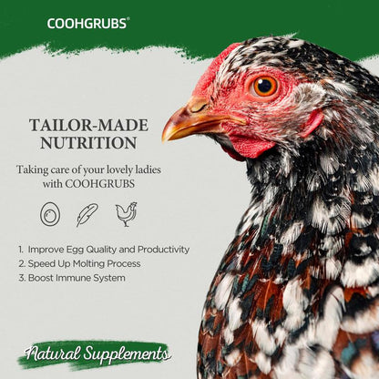 COOHGRUBS Dried Mealworms for Chickens - 100% Natural Premium Protein, Original Meal Worms Larvae for Laying Hen, Tasty Treats for Wild Birds Speeds up the Molting Process Pamper Your Feathered Friends