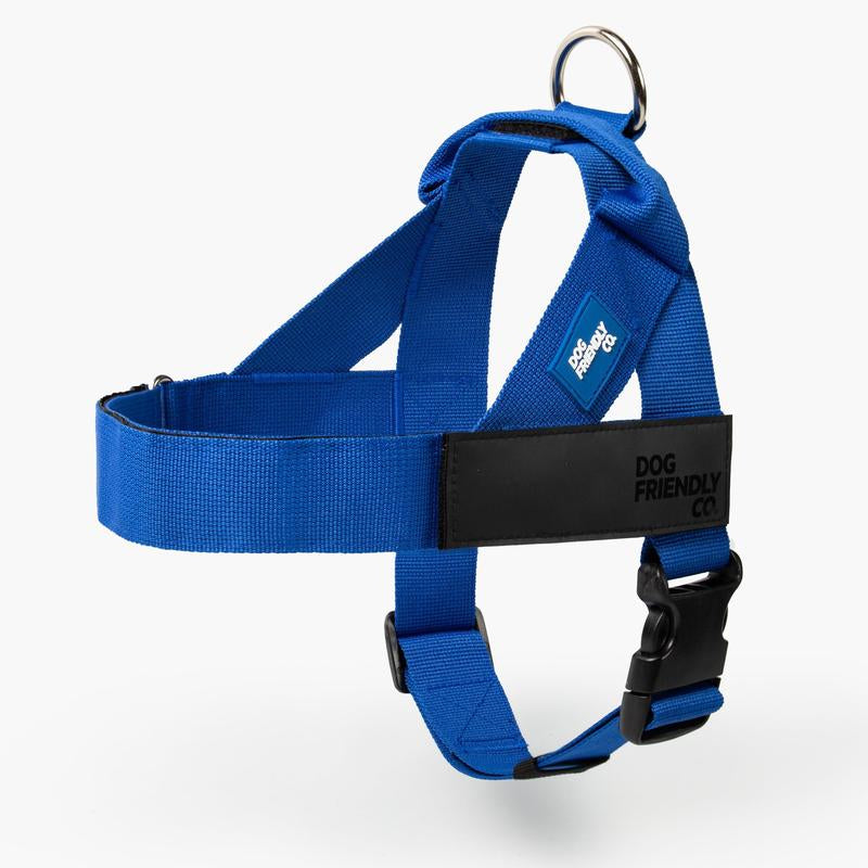 Dog Friendly Co. Harness - Easy to Fit No-Pull Design - Safe Secure and Comfortable - Ideal for Dogs of All Shapes and Sizes Leash