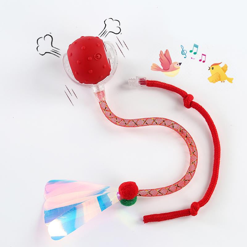 Golipal Cat&Dog Toy - Interactive USB Rechargeable Ball Toy on Rug with Bird Chirping, Anti-Depression Fun Gift for Cats & Dogs