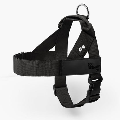 Dog Friendly Co. Harness - Easy to Fit No-Pull Design - Safe Secure and Comfortable - Ideal for Dogs of All Shapes and Sizes Leash