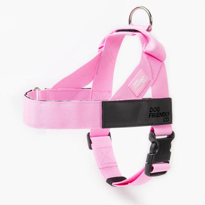 Dog Friendly Co. Harness - Easy to Fit No-Pull Design - Safe Secure and Comfortable - Ideal for Dogs of All Shapes and Sizes Leash